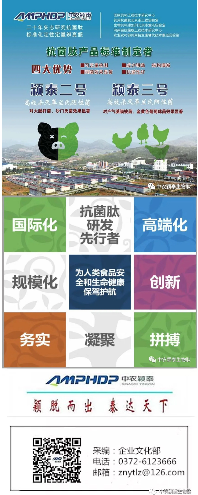 2022年（第5期）：大寒：愿您安暖幸福，歲歲平安_08