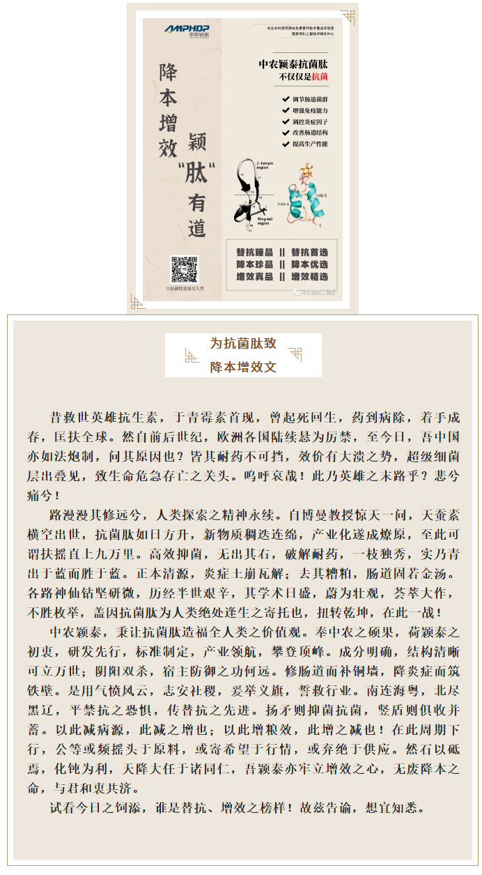 降本增效，穎“肽”有道——抗菌肽降低飼料營養水平應用方案_01