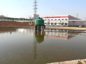 熱烈祝賀中農穎泰集團榮獲2024年河南省科學技術進步獎